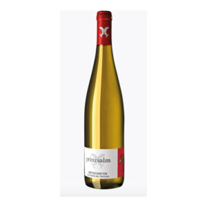 Weingut Prinz Salm, Vom Roten Schiefer Riesling, 2021