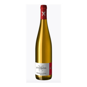 Weingut Prinz Salm, Grünschiefer Riesling, 2023