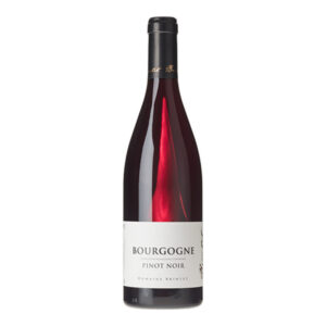 Domaine Brintet, Bourgogne Rouge, 2023