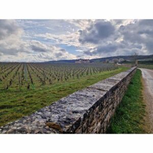 19.11.2026 HOMMMAGE A LA BOURGOGNE 2023